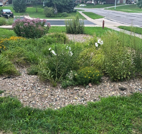 LPSNRD Rain-Ready Landscapes Program